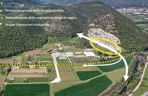 schema delle connessioni